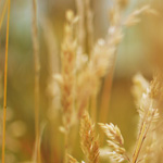 Wie Sie das Beste aus Ihrem Verde Casino Erlebnis machen