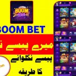 Spinbit NZ Casino Manual: Navigating Registration and Bonuses